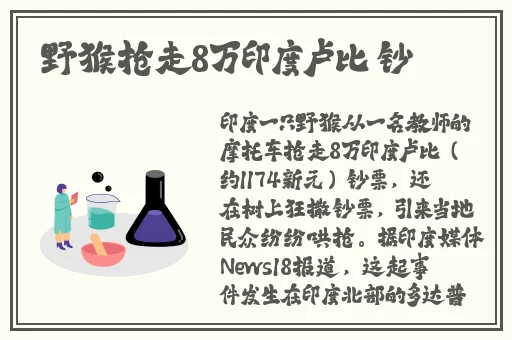 好色先生黄的app